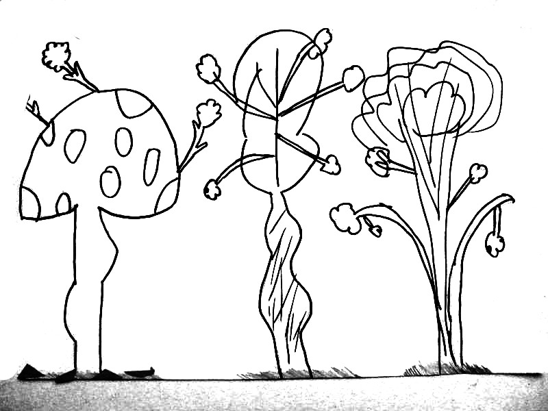 dessiner trois arbres différents (5)