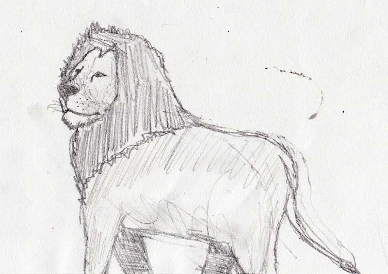 dessin lion (1)