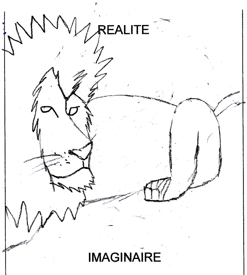 dessin lion (4)